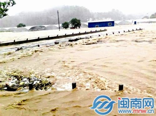 寧化大片農(nóng)田被淹，種植煙葉的農(nóng)民損失重